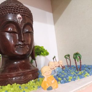 Suryavedam Ayurveda 2